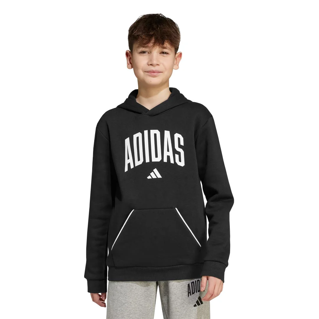 adidas - Kids' (Junior) Seasonals Essentials Collegiate Typography Hoodie (JM1536) - Image 2
