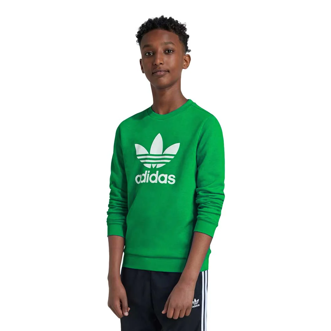 adidas - Kids' (Junior) Trefoil Crewneck Sweatshirt (IY7439) - Image 2