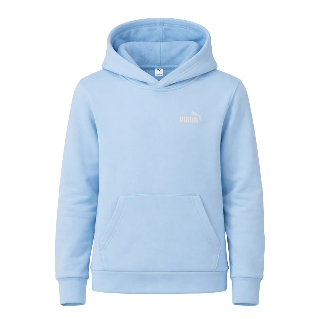 Puma - Girls' (Junior) Essential Basics Pullover Hoodie (PSP25V8P-16731 406)